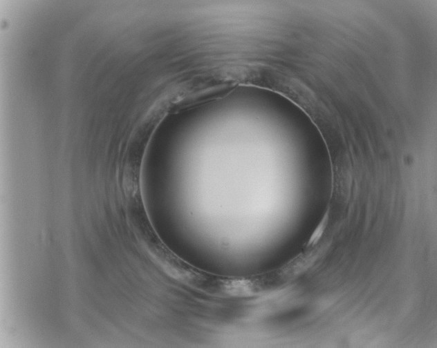 X0000073460091200608041103