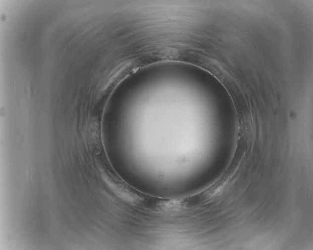 X0000073460092200608041103