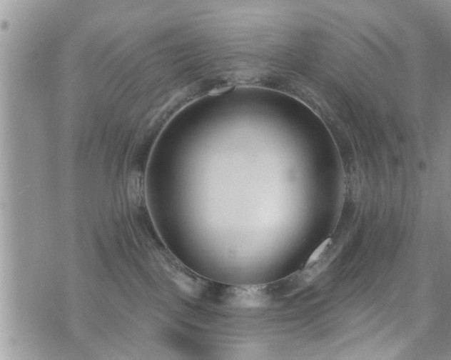 X0000073460093200608041103