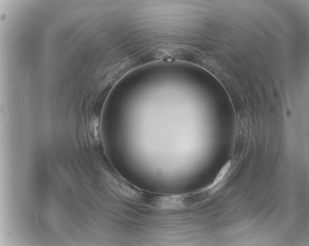 X0000073460094200608041103