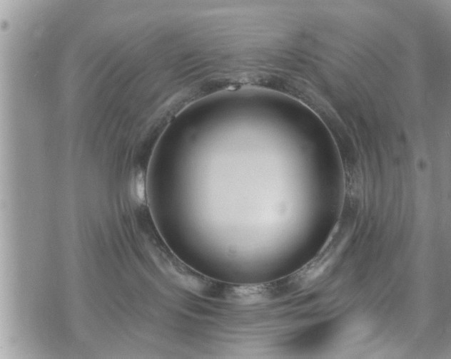 X0000073460095200608041103