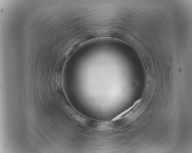 X0000073460096200608041103