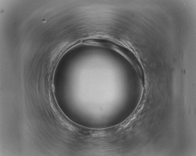 X0000073460097200608041103