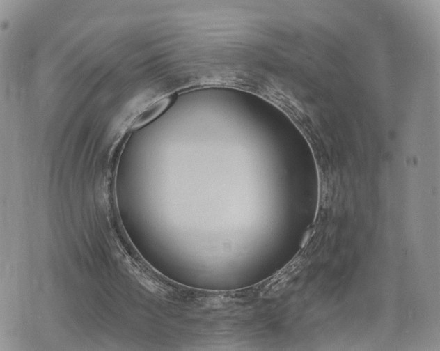 X0000073460098200608041103