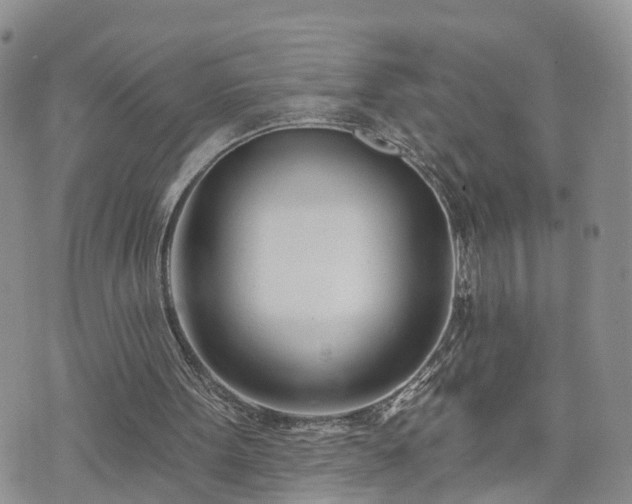 X0000073460099200608041103