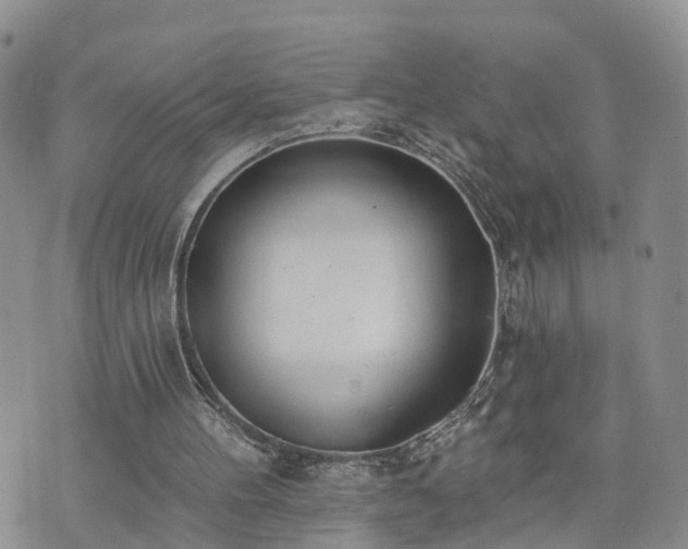 X0000073460100200608041103