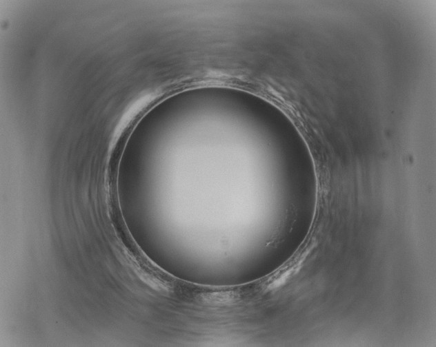 X0000073460102200608041103