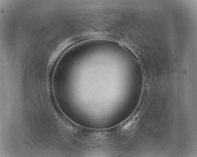 X0000073460103200608041103