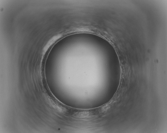 X0000073460104200608041103