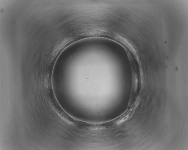 X0000073460105200608041103