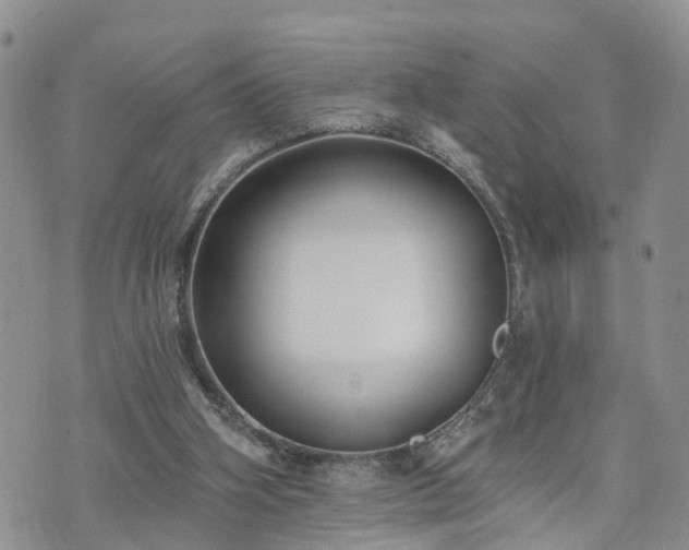 X0000073460106200608041102