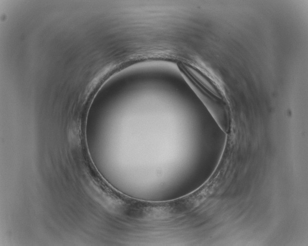 X0000073460107200608041102