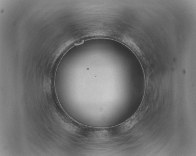 X0000073460108200608041102