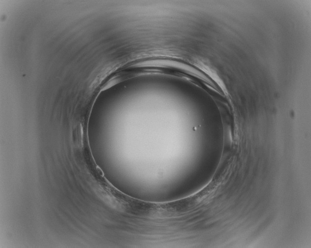 X0000073460109200608041102