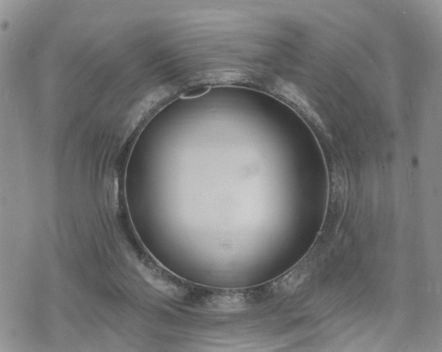 X0000073460110200608041102