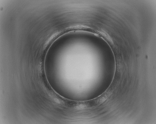 X0000073460111200608041102