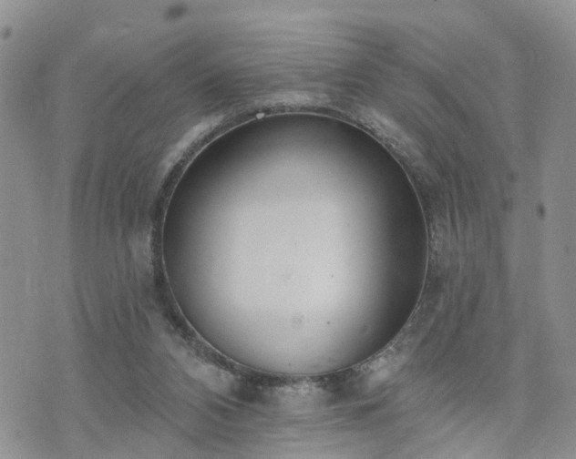 X0000073460112200608041102