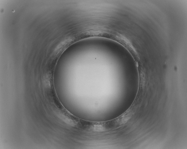 X0000073460114200608041102