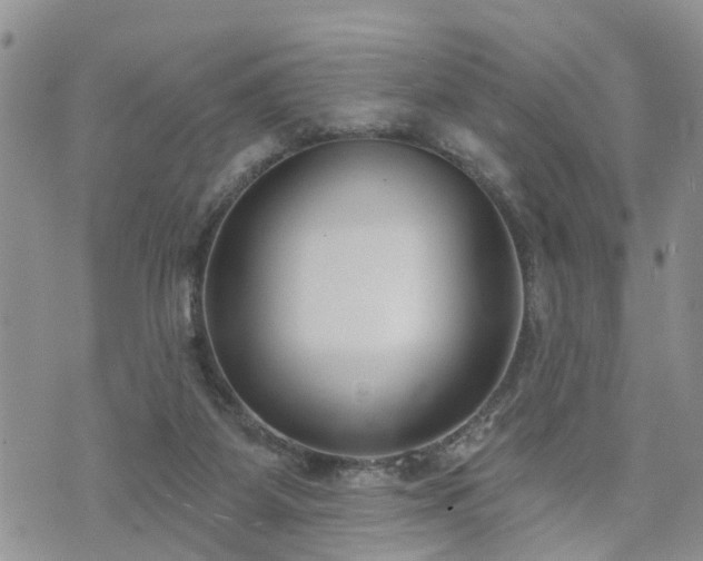 X0000073460115200608041102