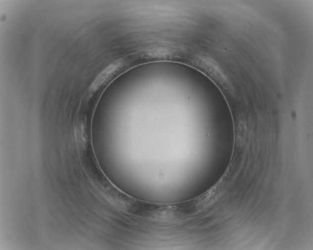 X0000073460116200608041102