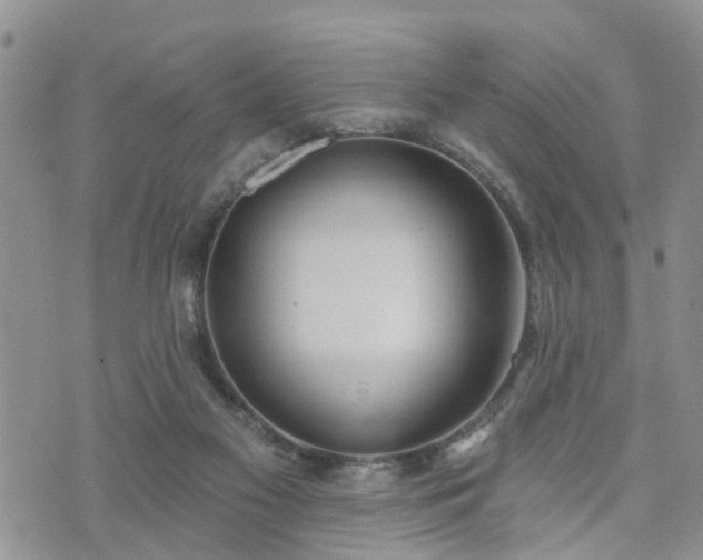 X0000073460117200608041102