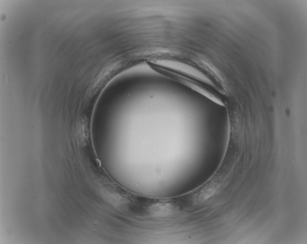 X0000073460119200608041102