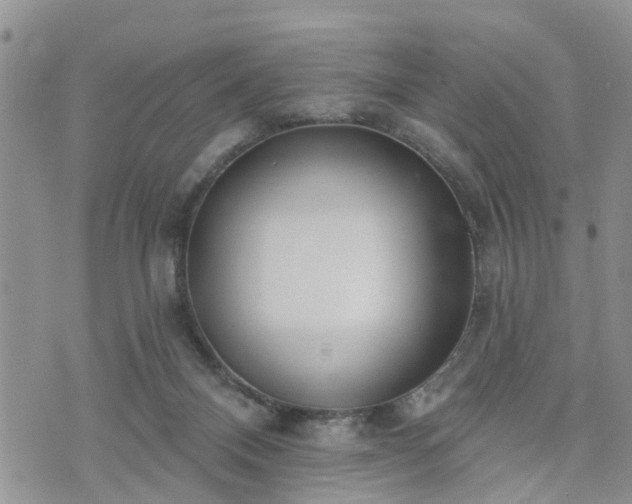 X0000073460120200608041102