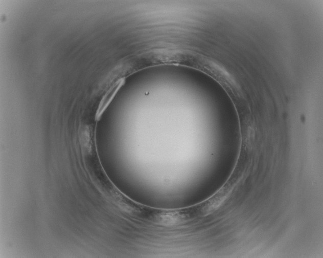 X0000073460121200608041102