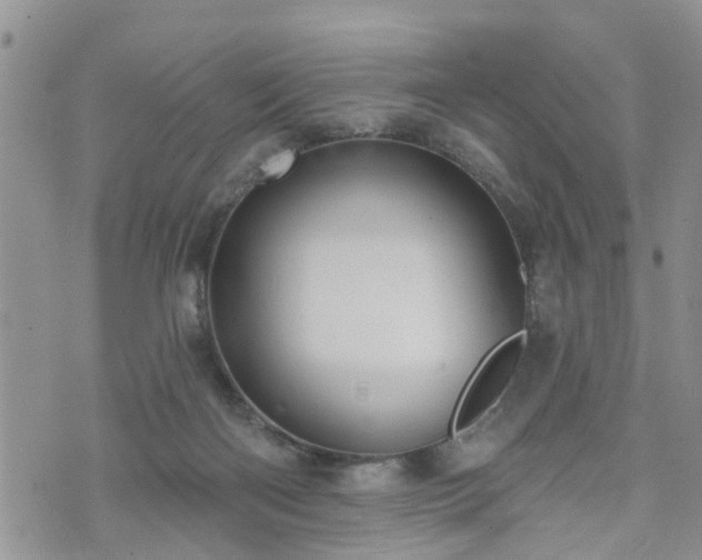 X0000073460122200608041102