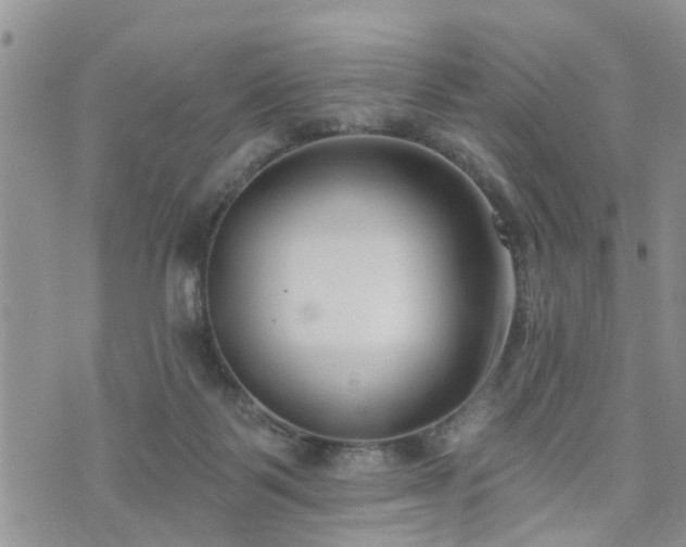 X0000073460123200608041102