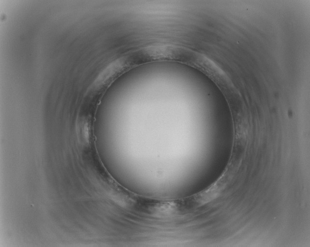 X0000073460124200608041102