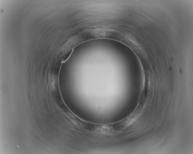 X0000073460125200608041102