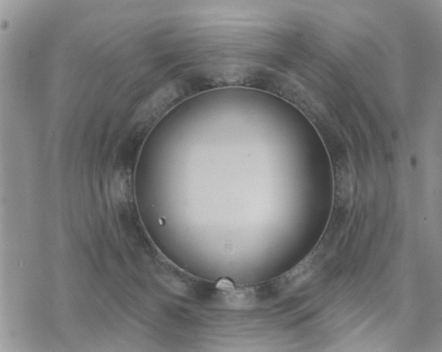 X0000073460126200608041102