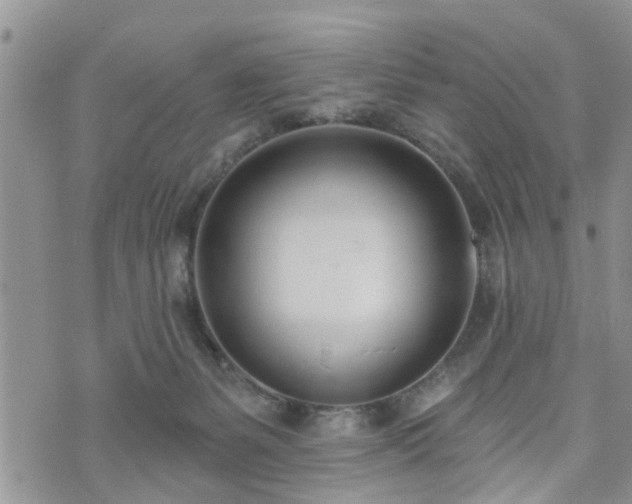 X0000073460127200608041102