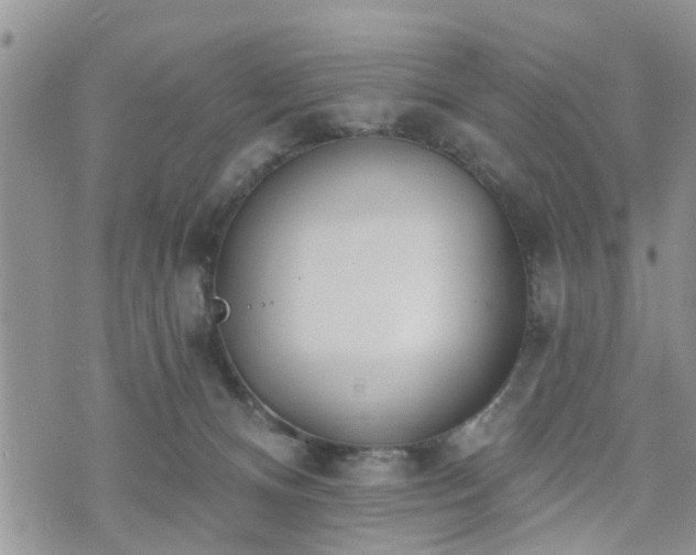 X0000073460128200608041102