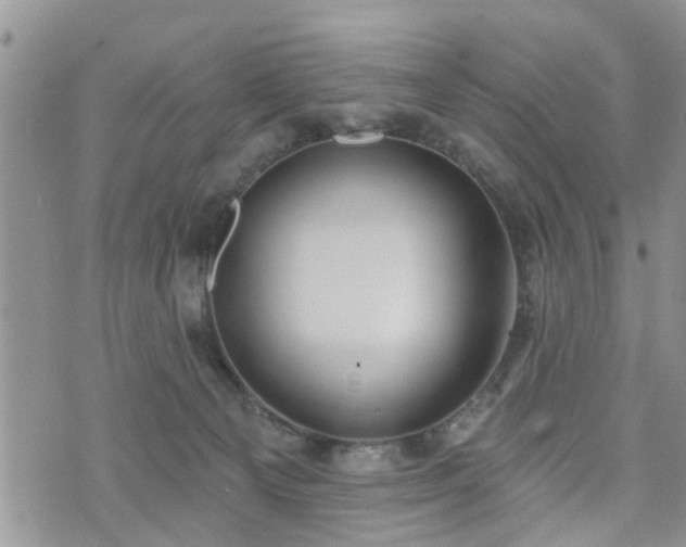 X0000073460129200608041102