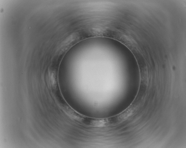 X0000073460131200608041102