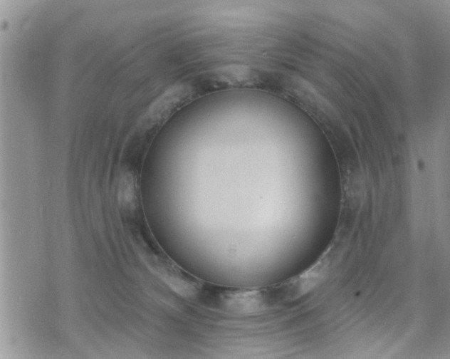 X0000073460132200608041102