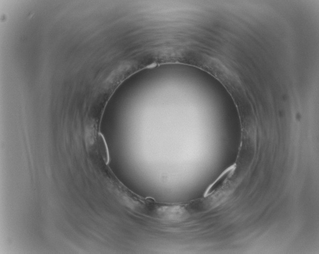 X0000073460133200608041102