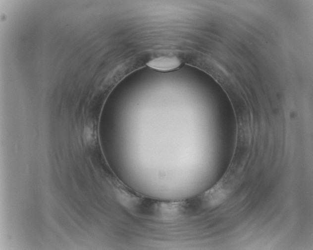 X0000073460134200608041102