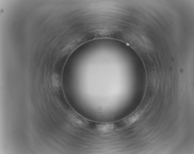 X0000073460135200608041102