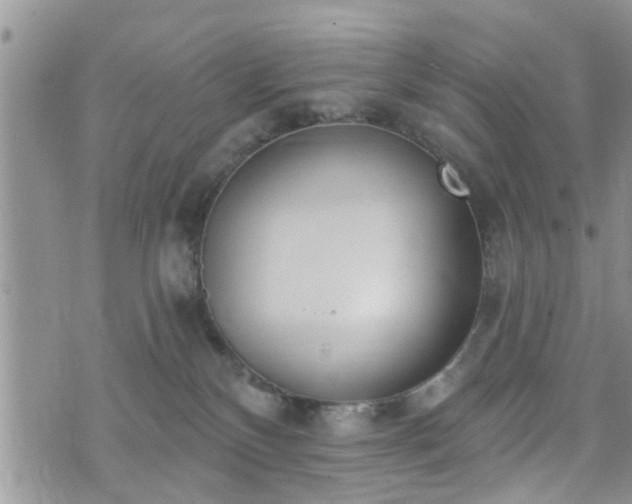 X0000073460136200608041102