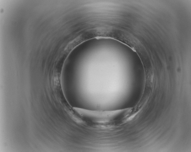 X0000073460137200608041102