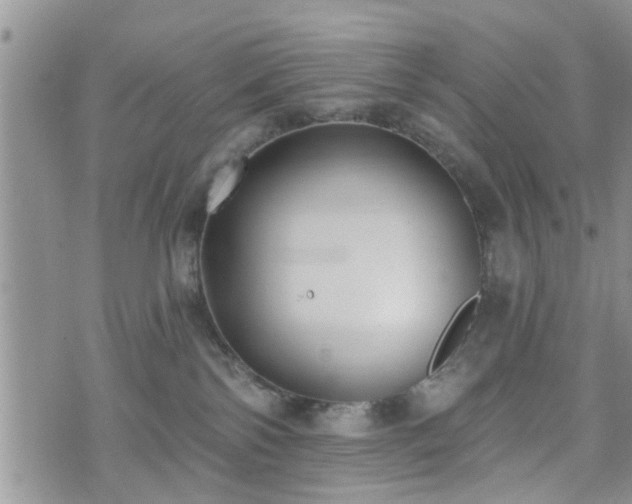 X0000073460138200608041102