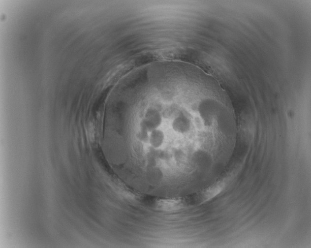 X0000073460139200608041102