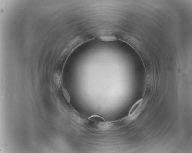 X0000073460142200608041102