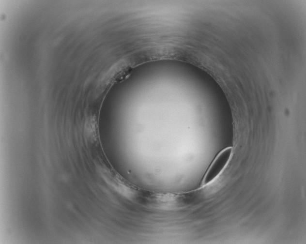 X0000073460144200608041102