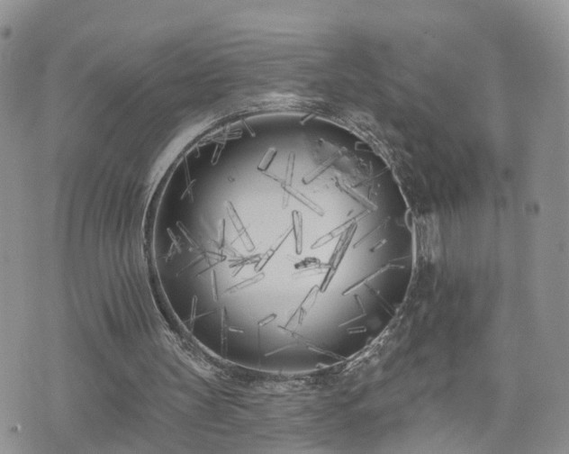 X0000073460147200608041101