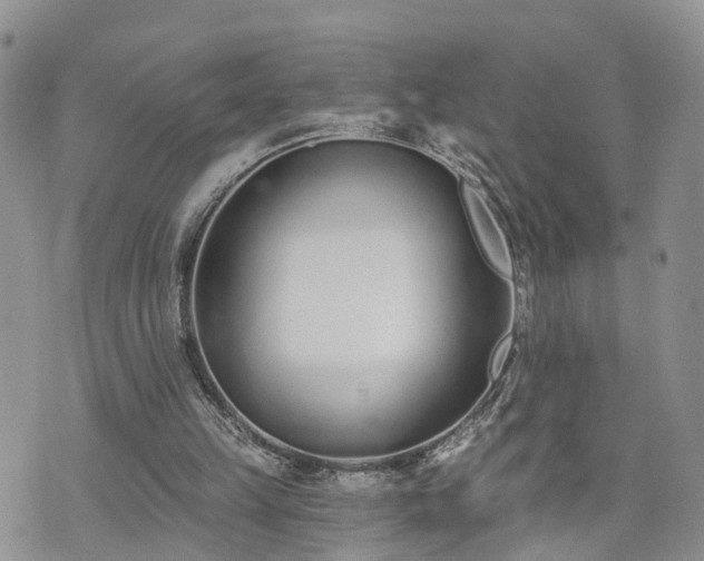 X0000073460149200608041101