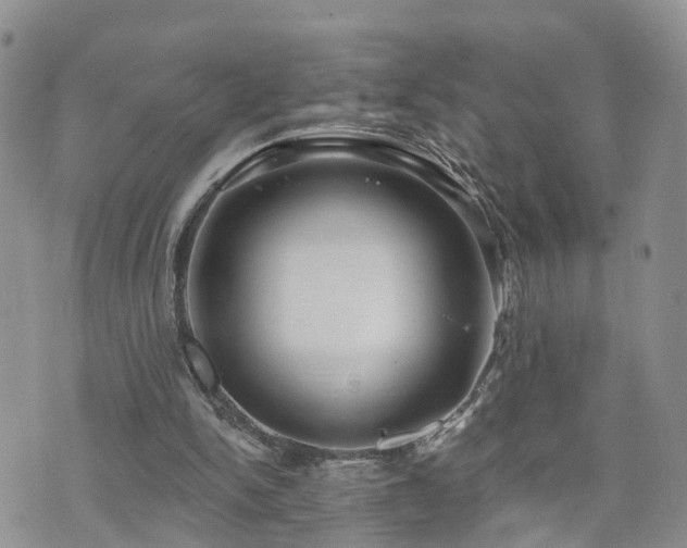 X0000073460150200608041101